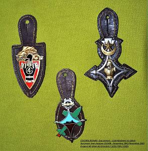 29- Mes insignes du 4eme Genie, de la 122 CTGS, Du CIEES